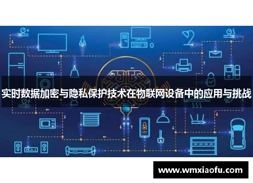 实时数据加密与隐私保护技术在物联网设备中的应用与挑战