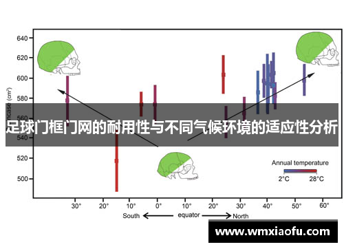 足球门框门网的耐用性与不同气候环境的适应性分析